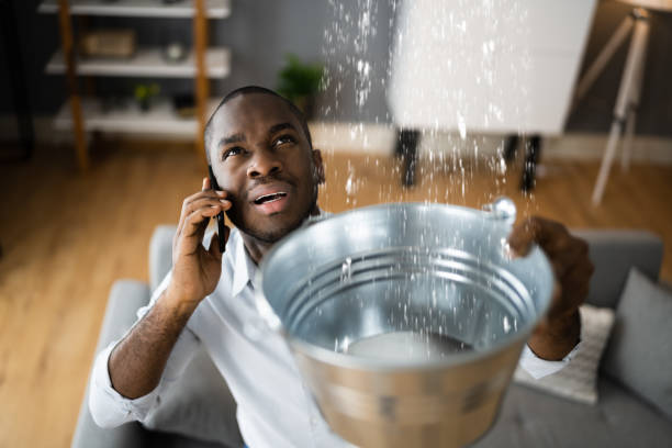 Best Mold removal after water damage  in Blairsville, PA