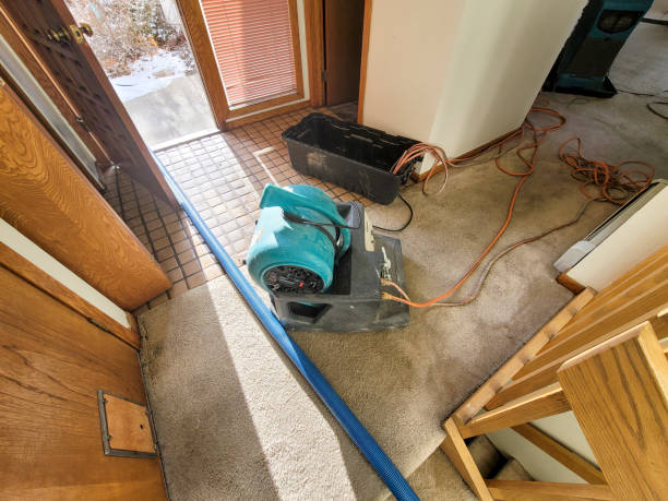 Best Water damage cleanup near me  in Blairsville, PA