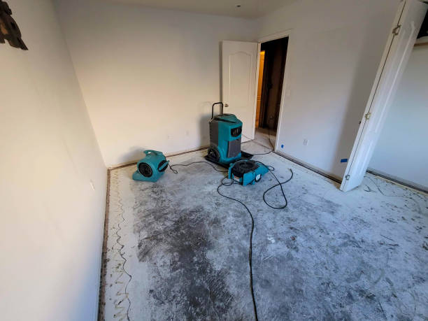 Best Local water damage restoration  in Blairsville, PA