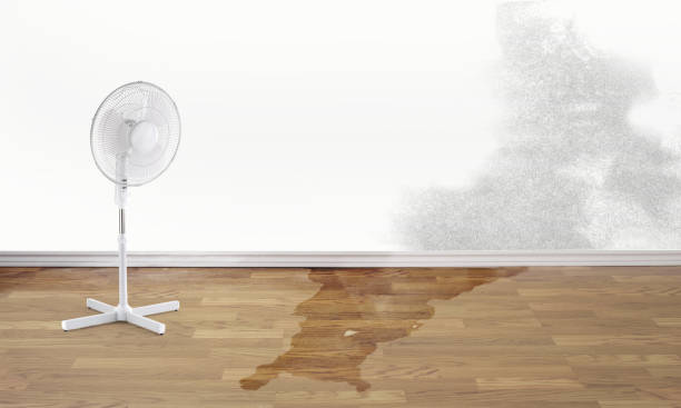 Best Flood damage cleanup  in Blairsville, PA