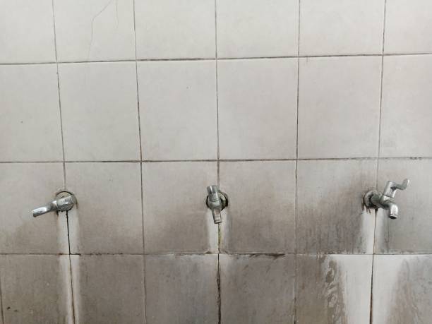 Best Emergency water damage restoration  in Blairsville, PA