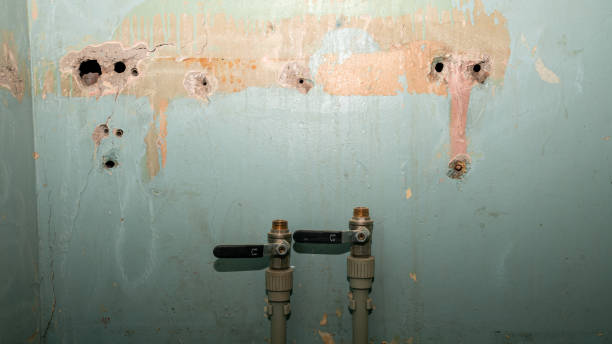 Best Water damage contractors near me  in Blairsville, PA