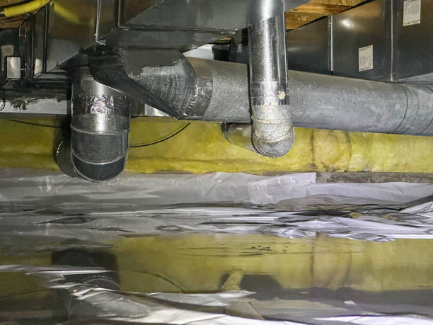 Best Carpet water damage restoration  in Blairsville, PA